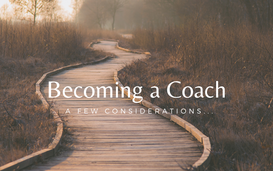 How do I become a professional coach?